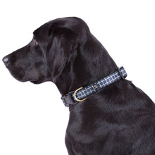 Chequered Neoprene Dog Collar